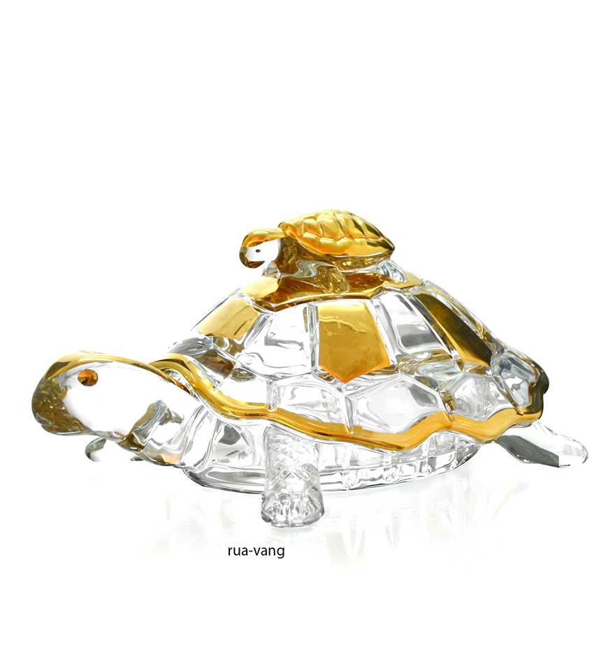 Phát hiện rùa toàn thân màu vàng tươi vô cùng quý hiếm ở Ấn Độ  VTVVN